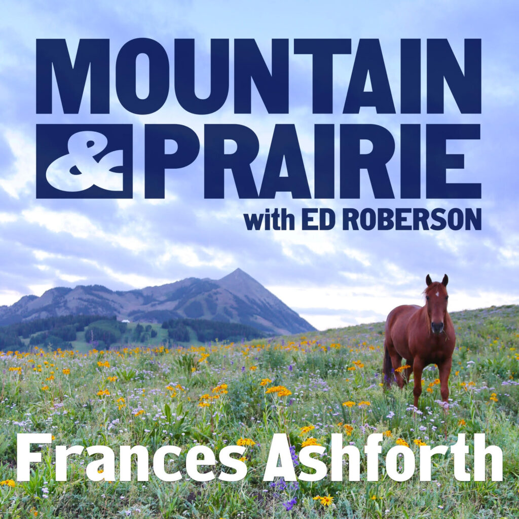 Mountain and prairie