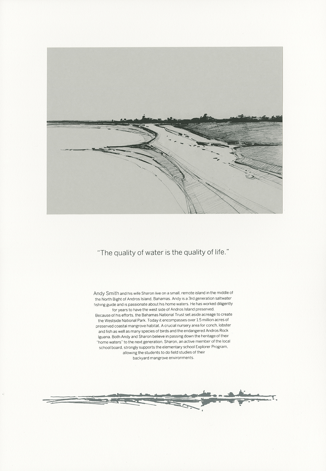 Andy Smith page