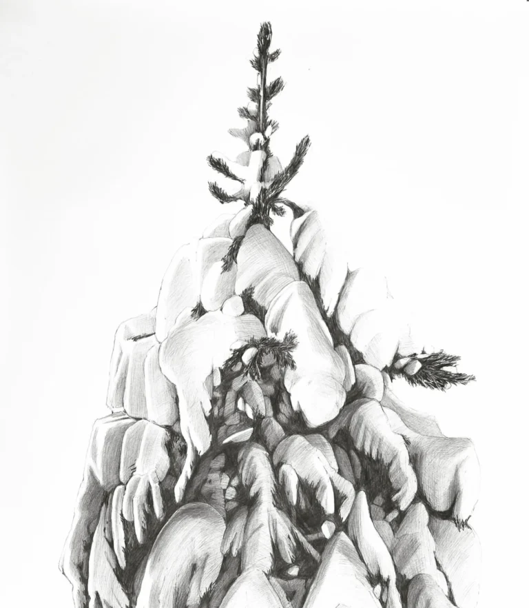 Big Snow Pine, 30x40, kohinoor pencil on bristol,
