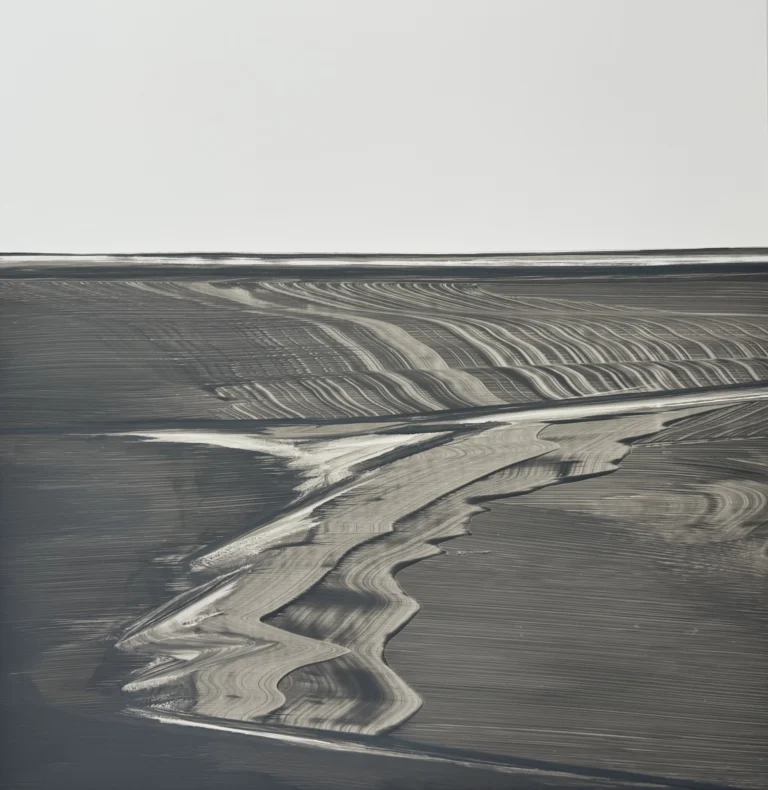 Fieldscape 2, 19x20 ink on yupo paper,