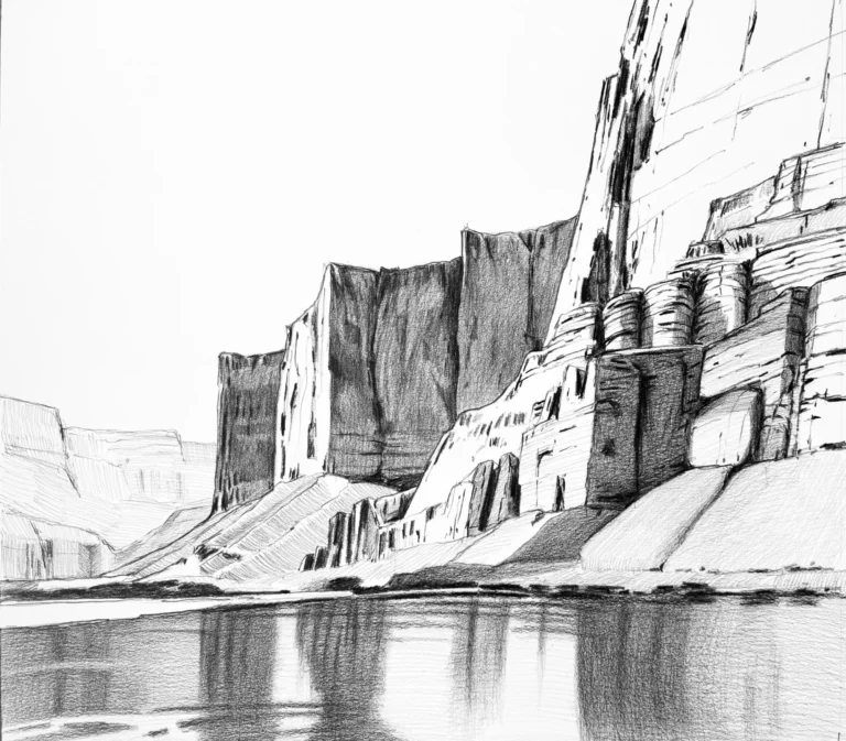Head of the Rapid, 19x20, kohinoor pencil on bristol,