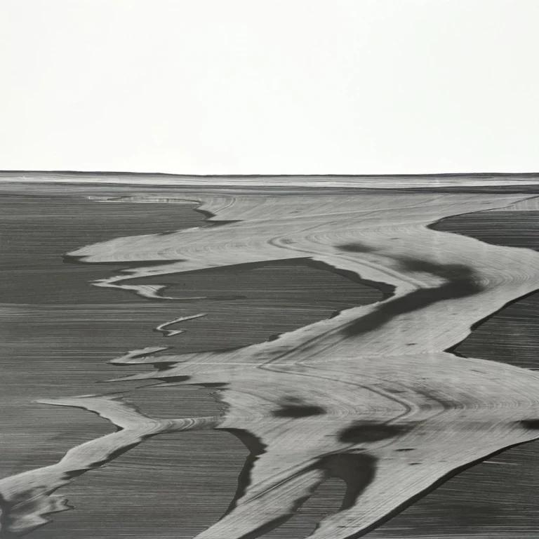 Lay of The Land Graphite 2, 20x20, ink on yupo paper,