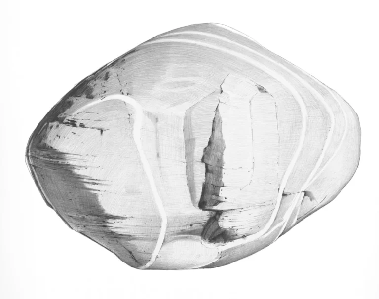 Lucky Boulder Big Wood, 22x28, kohinoor pencil on bristol,