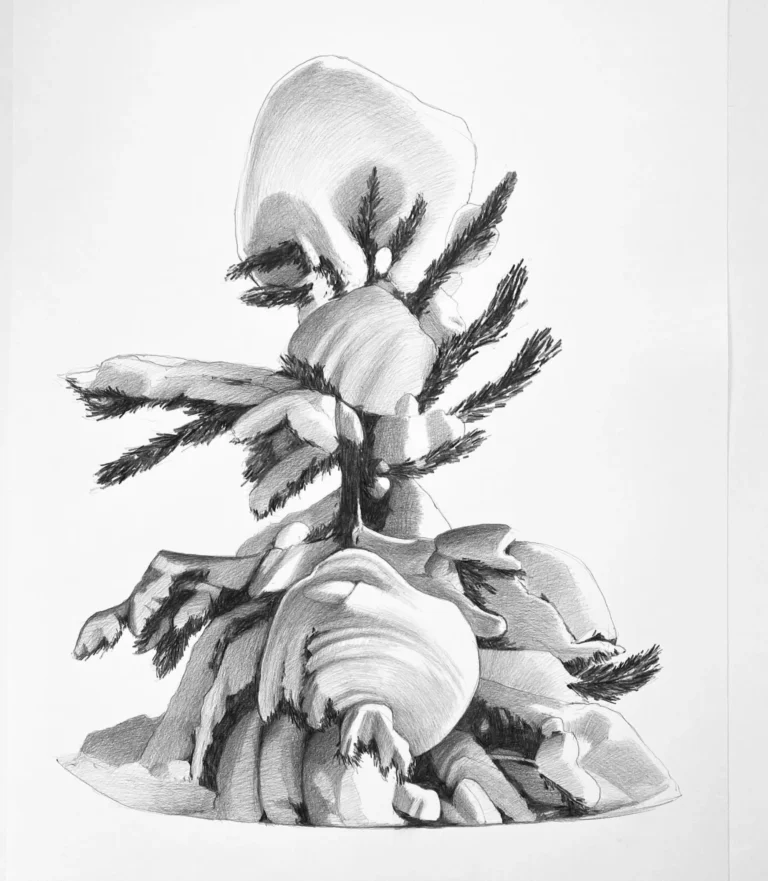 Snow Pine, 22x28, kohinoor pencil on bristol,