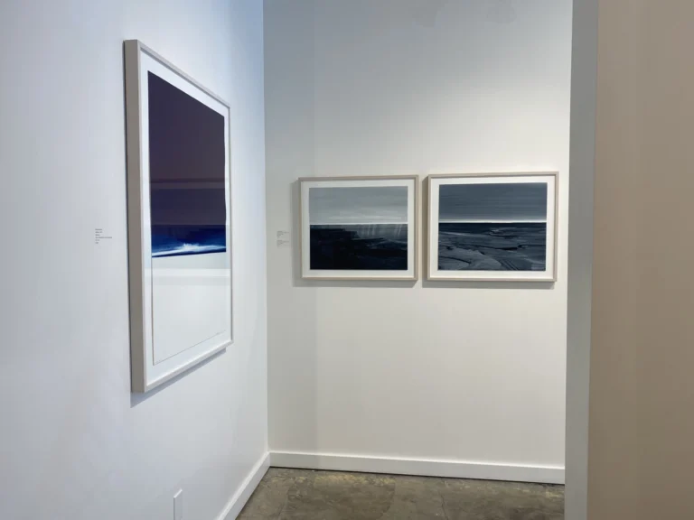 Wild Blue & Lay of The Land, Hemmings Gallery,
