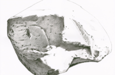 Boulder Study