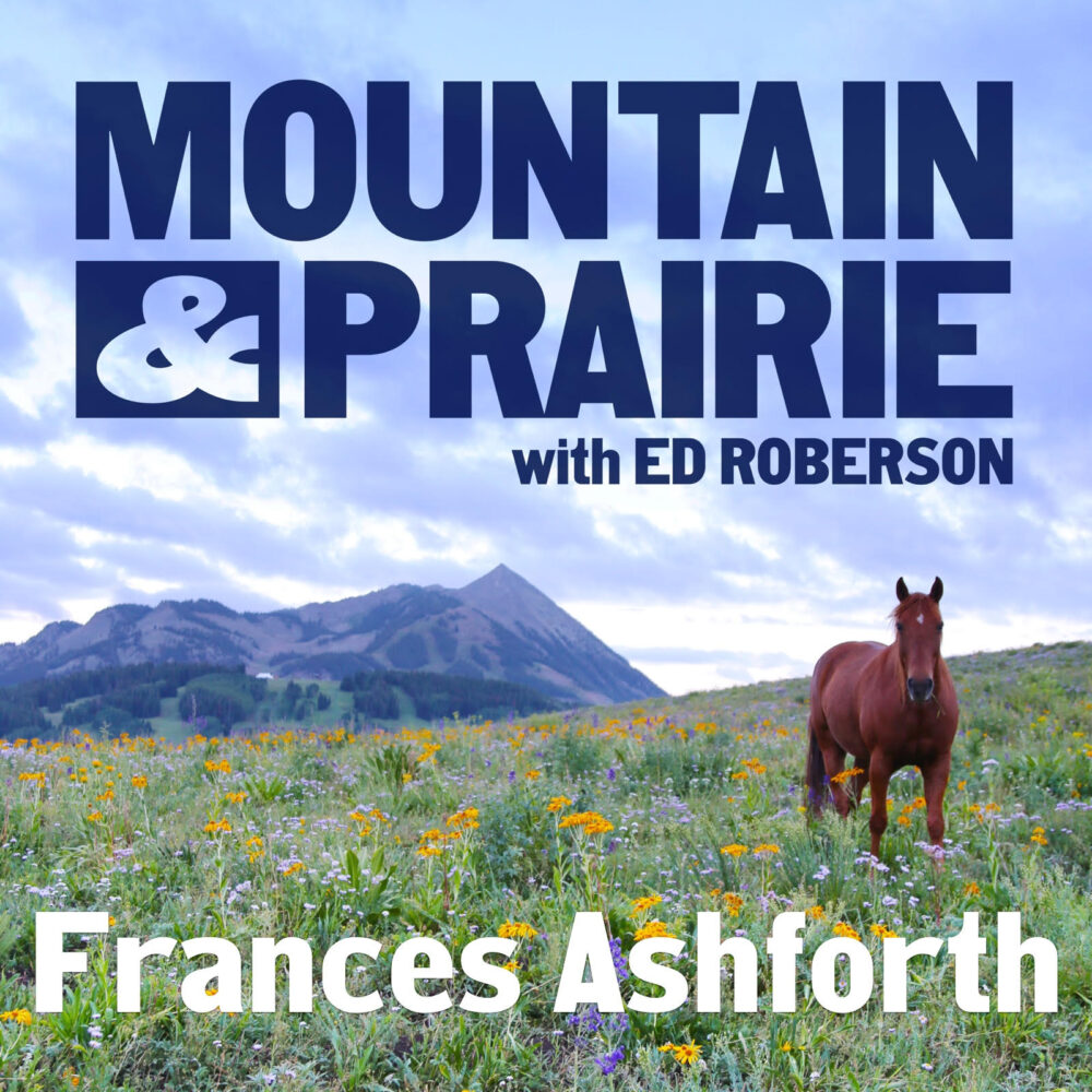 Frances Ashforth – Art, Water, and Wide-Open Spaces